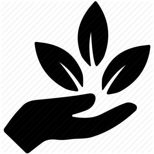 Hair Transplant Clinic, &Sigma;&pi;ί&tau;&iota;